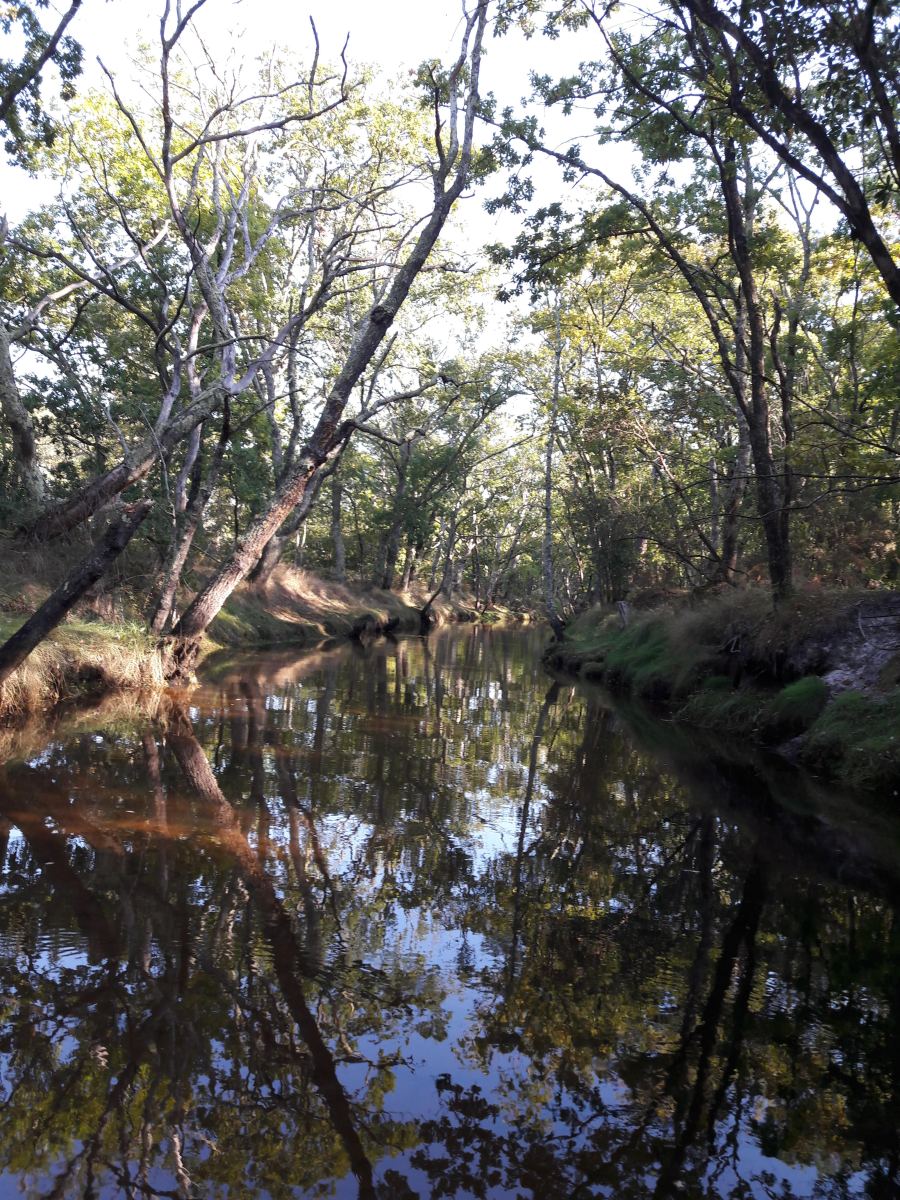 paddle_andernos_balade3